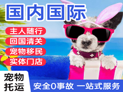 赤峰玉龙机场物流国际宠物托运 【国